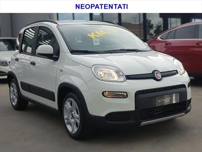 Fiat Panda 1.2 Pop, Anno 2012, KM 59226 - belangrijkste plaatje