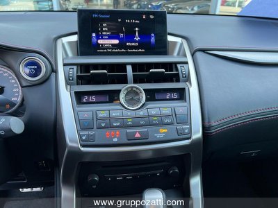 Lexus NX 1ª serie Hybrid 4WD Executive, Anno 2018, KM 80069 - belangrijkste plaatje