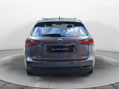 Lexus UX Hybrid Executive, Anno 2021, KM 22107 - belangrijkste plaatje