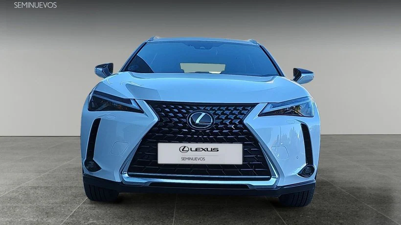 LEXUS UX 2.0 250h Business - belangrijkste plaatje