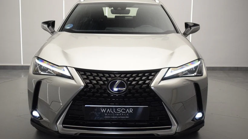 LEXUS UX 2.0 250h Business - belangrijkste plaatje